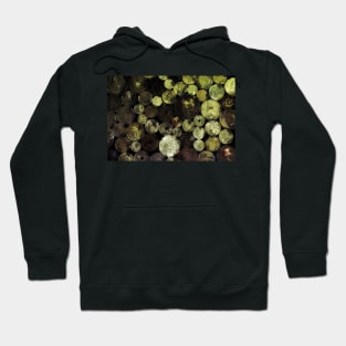 Coins Hoodie